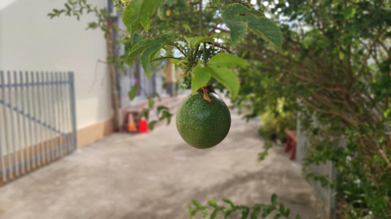 Monica Guesthouse Kampot Eksteriør bilde